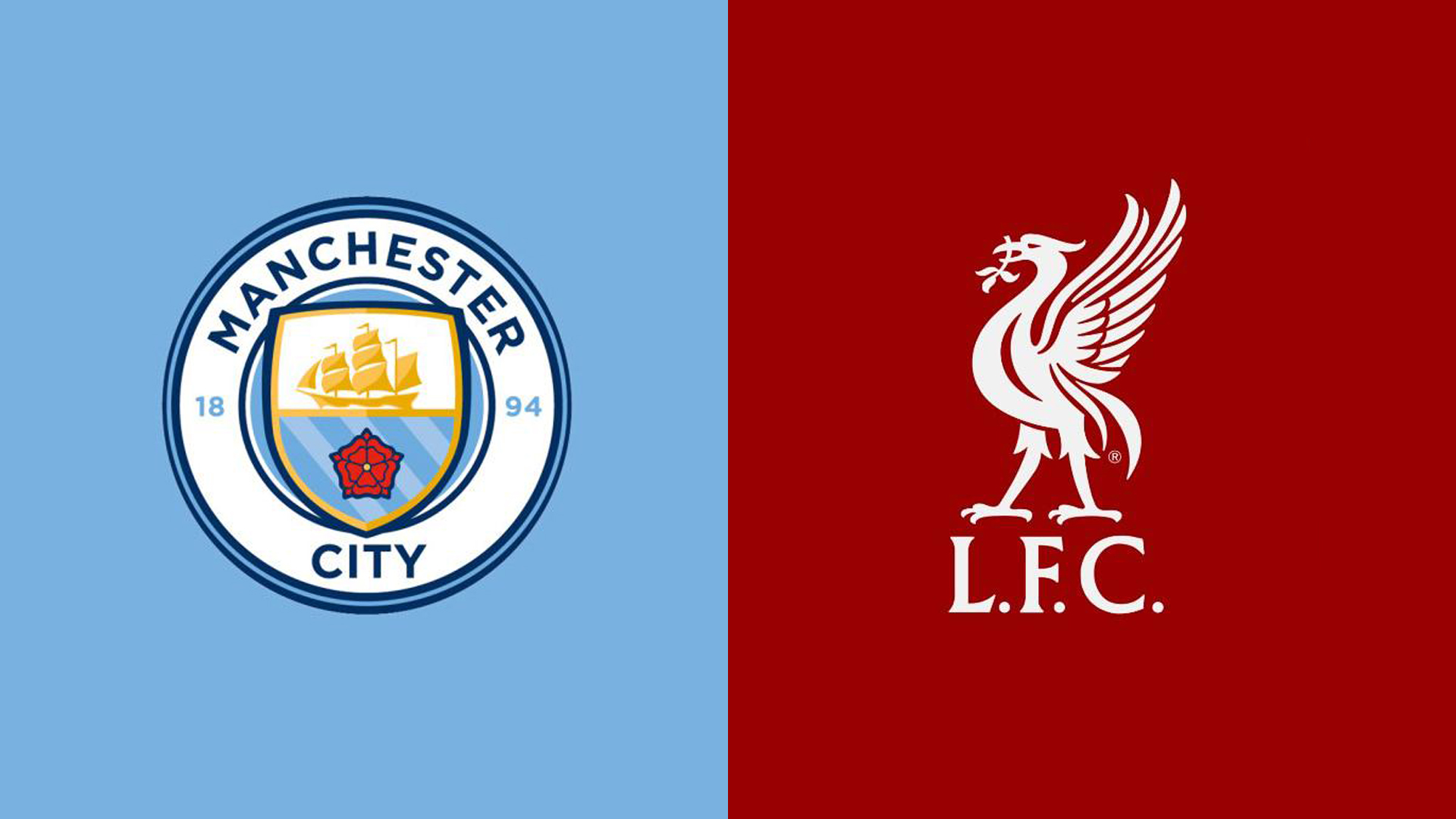 建议他们在 建议他们在