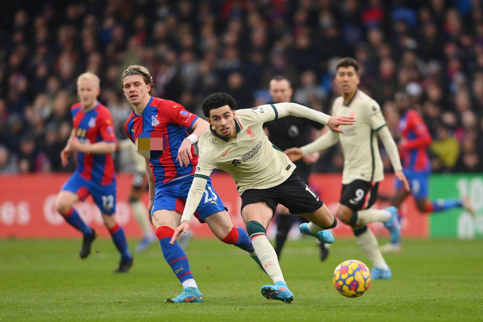 这一消息不 这一消息不